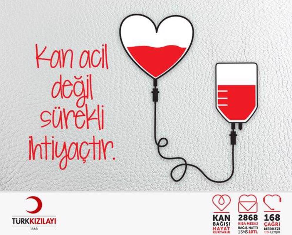 kontrolce, dr hacer hancı, hacer hancı, tasarım, bölümü, kastamonu, üniversitesi, basım, yayın, grafik, meslek, yüksek, okulu,