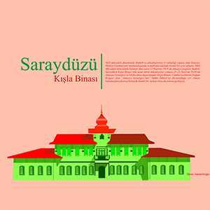 Tamer Alemdaroğlu - Saraydüzü Kışla Binası
