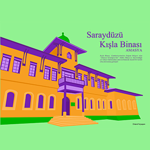 Dilara Yolyapan - Saraydüzü Kışla Binası
